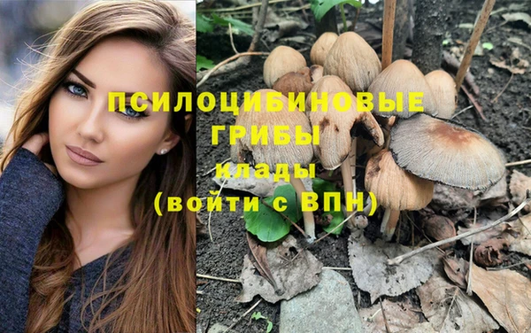 MESCALINE Кодинск