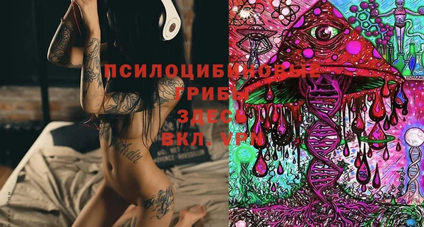 MESCALINE Кодинск